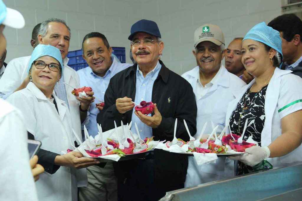 Danilo Medina supervisa