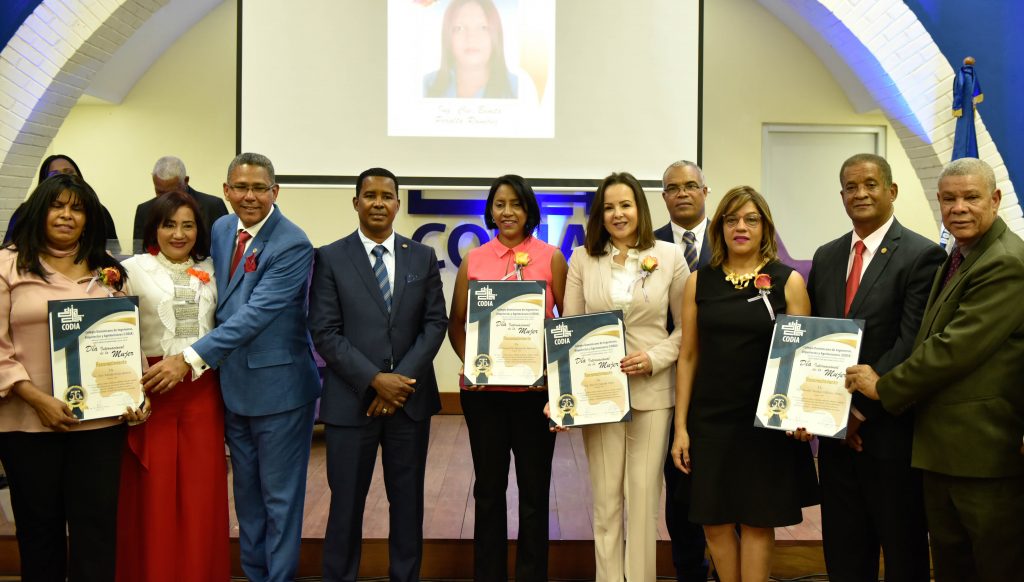 CODIA reconoce labor de Maribel Villalona directora del DPP MITUR