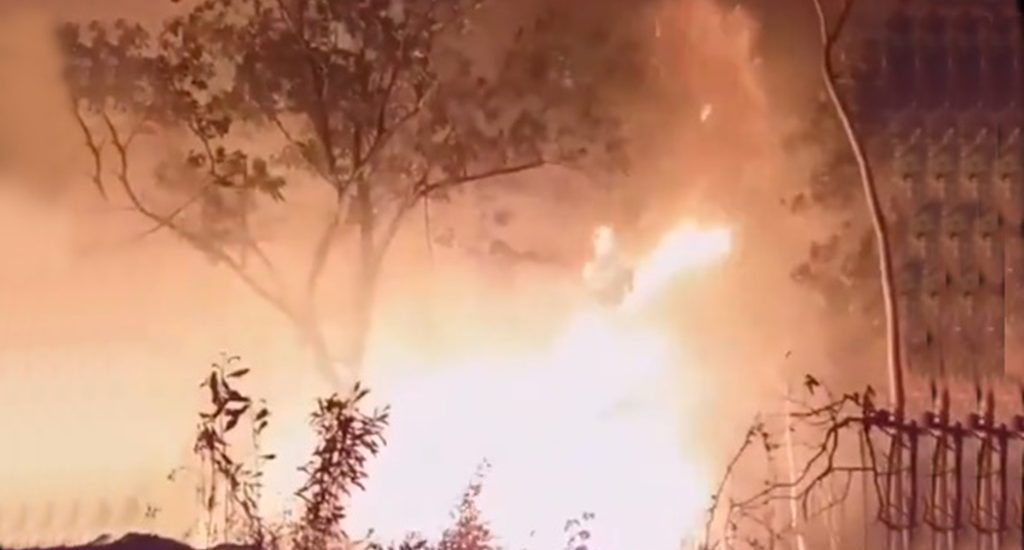 Incendio consume área boscosa en la Loma Guaigüí de La Vega