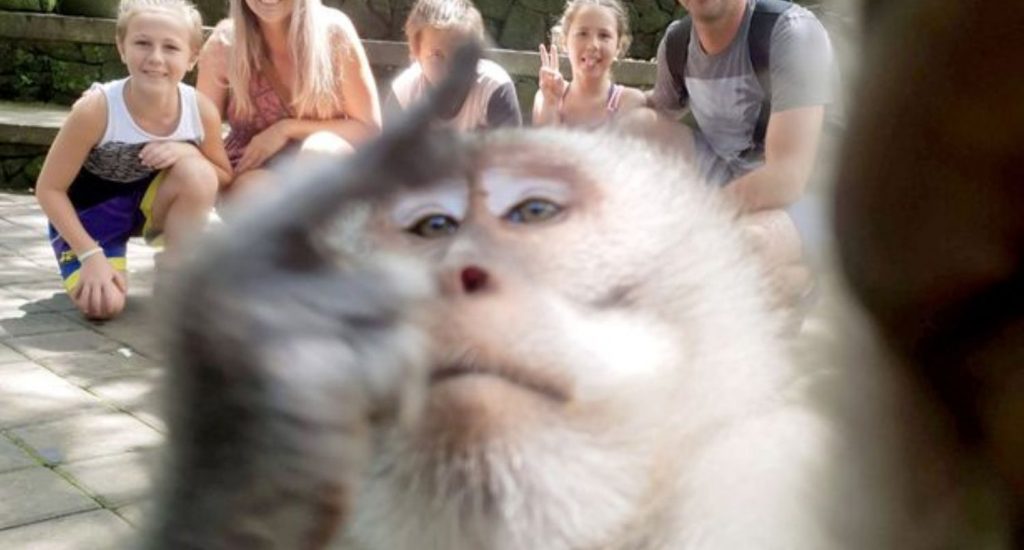 Mono se vuelve viral al tomar varias selfie junto a familia en zoológico