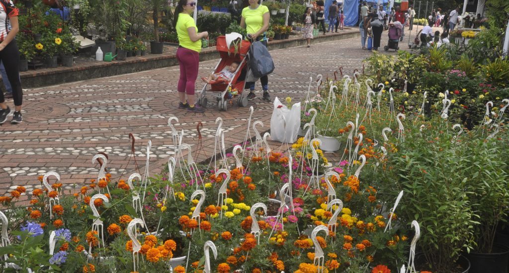 Jardín Botánico realizará su XV Festival Nacional de Plantas y Flores 2019