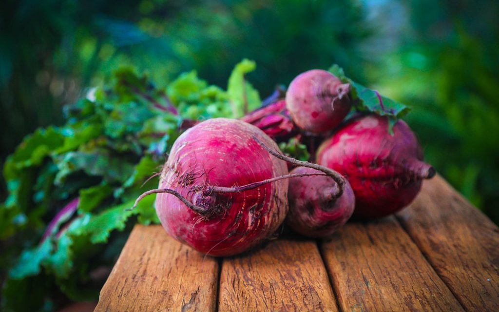beets feature image