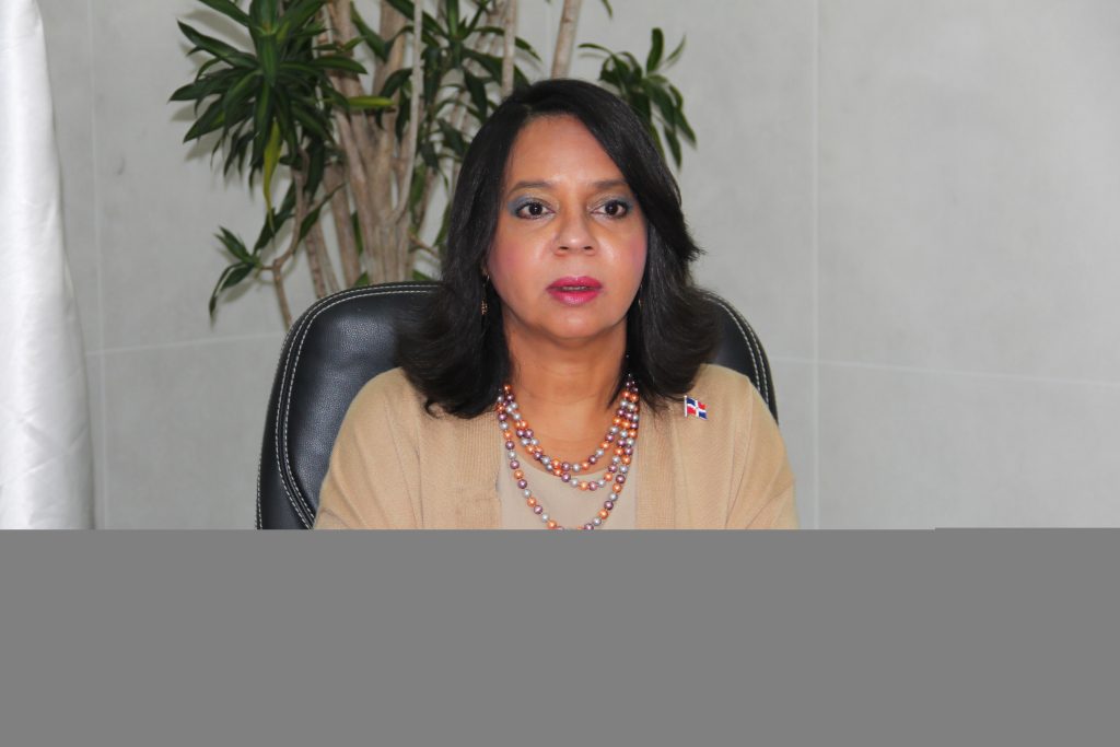 Titular de Pro Consumidor Anina Del Castillo