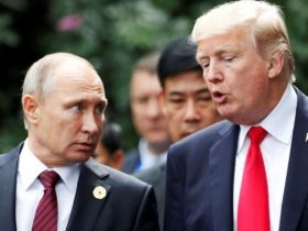 putin y trump