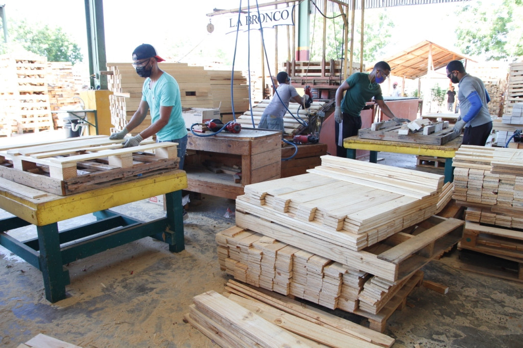 Obreros en plena faena de construcción de paletas para bananos foto Rafael Pujols.