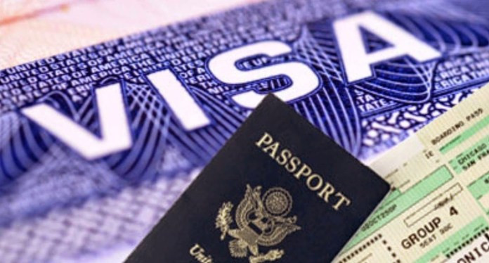 Visa large