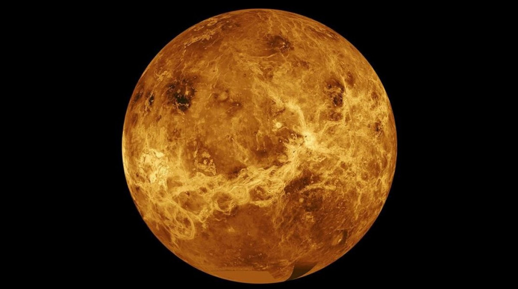 venus large