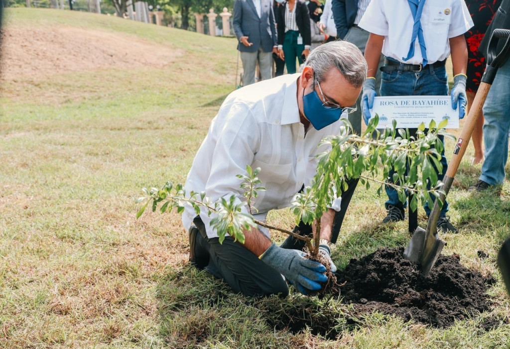 Abinader inicia el Mes de la Reforestación sembrando un árbol en el Palacio abinader