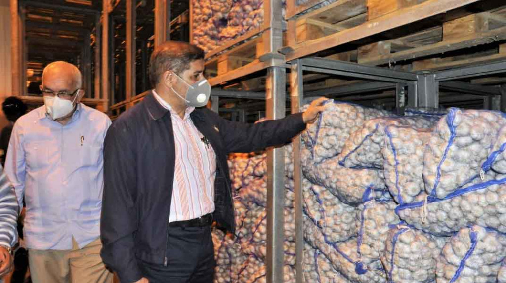 Agricultura inicia siembra ajo Constanza large
