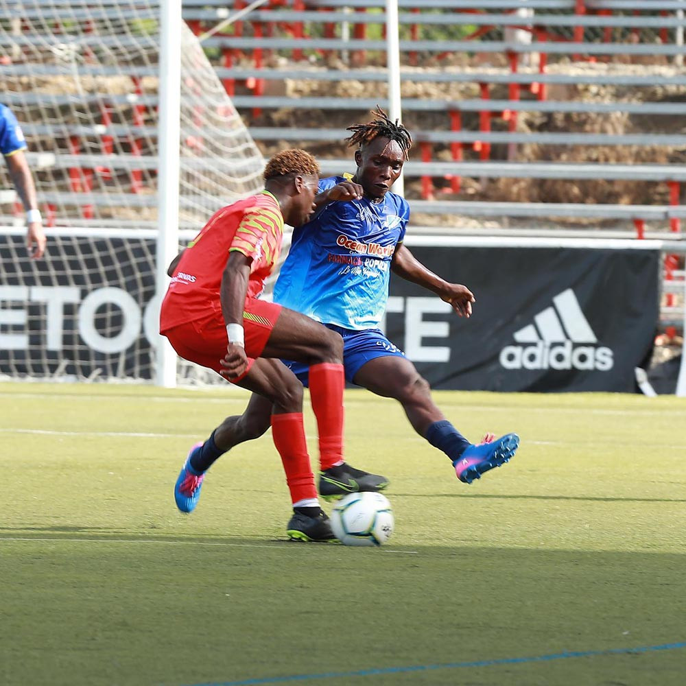 Fotos de Alfonso Conde large