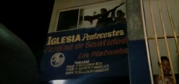Platanitos large