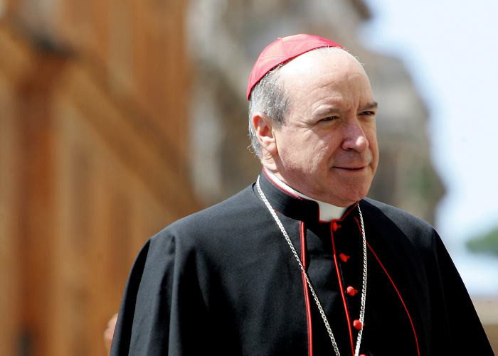 Cardenal López Rodríguez large
