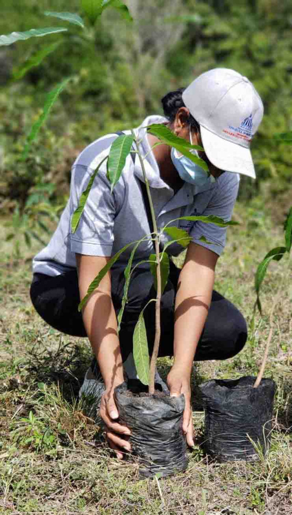Desarrollo Fronterizo pone en marcha Plan Estratégico de Reforestación