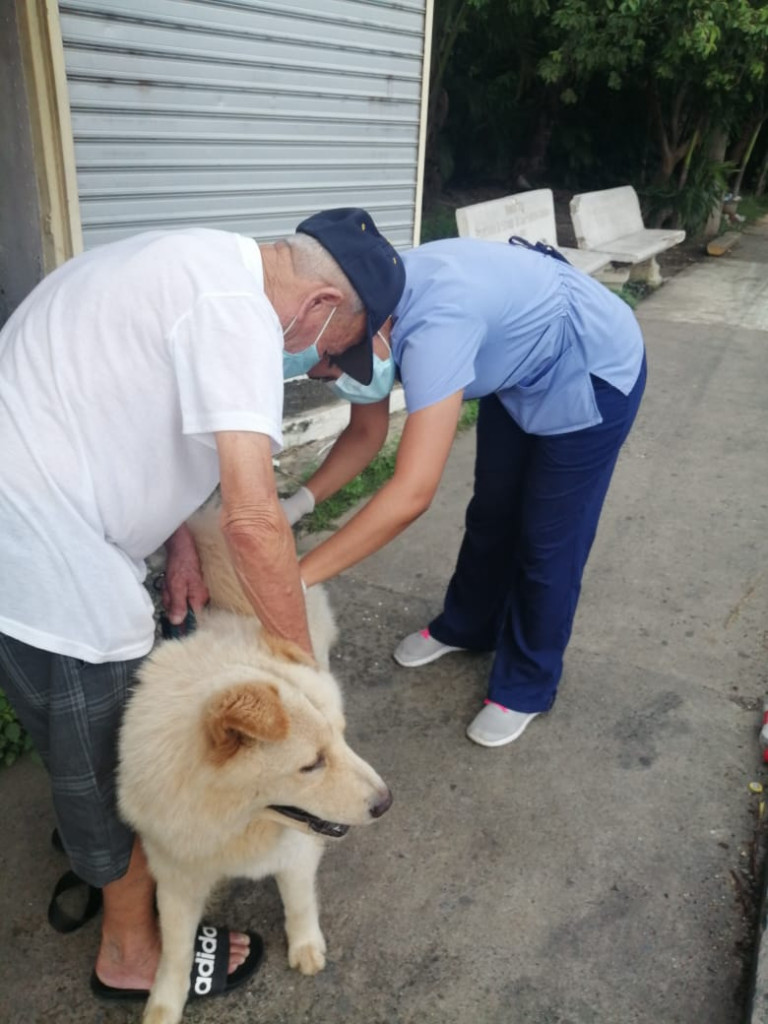 Salud Pública anuncia jornada vacunación antirrábica en Santiago Vacuna large