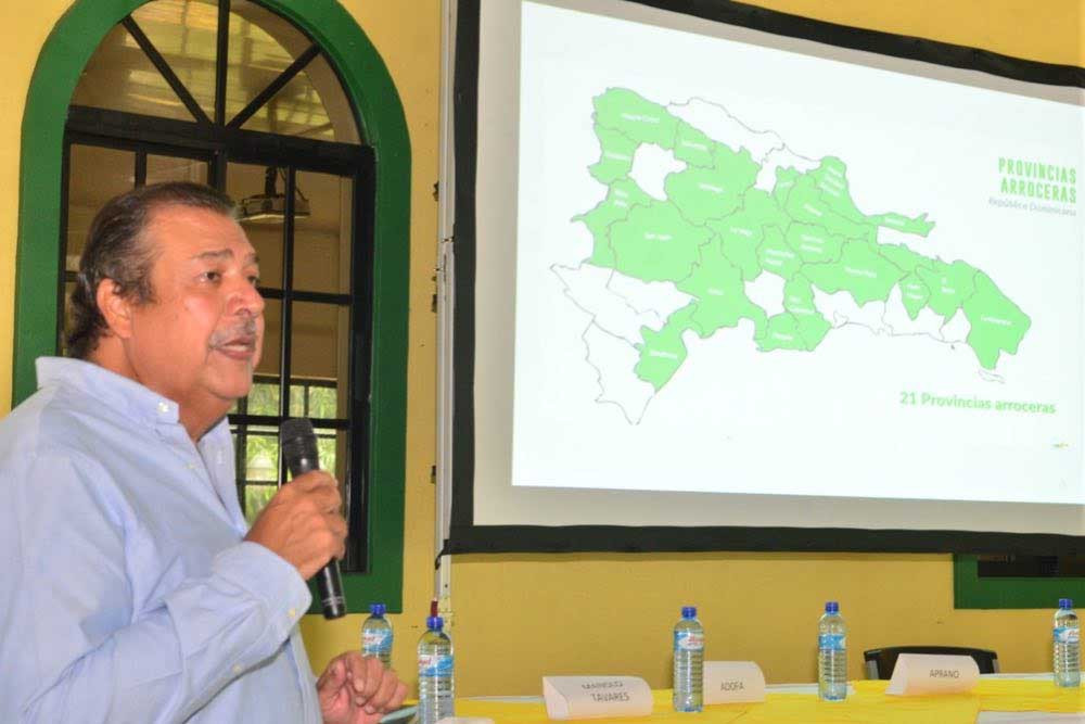 arrocero sufre su peor amenaza en 100 años large