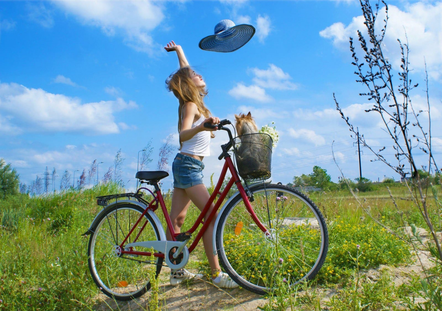 linda chica disfruta un día soleado a orillas de la ciudad con mascota en la bicicleta