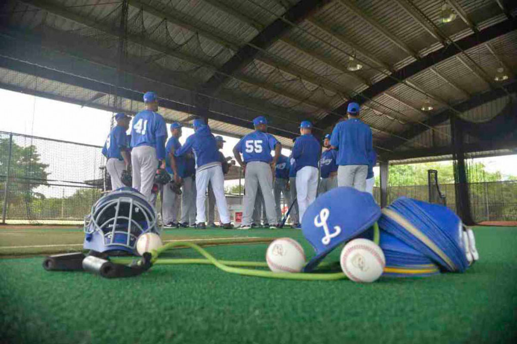 tigres de licey large
