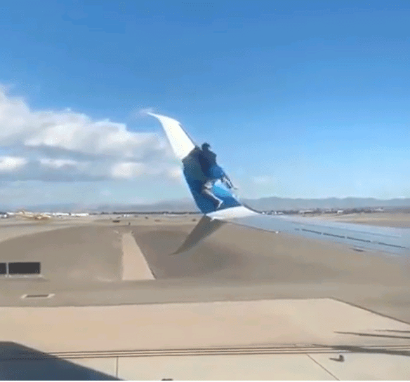 avion ala large