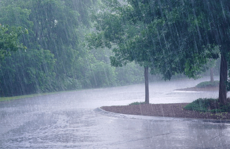 lluvias y Google large