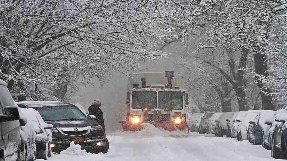 nieve nyc large