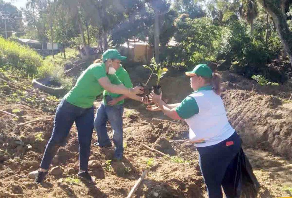 CoopAltagracia Jornada de siembra pico diego de ocampo