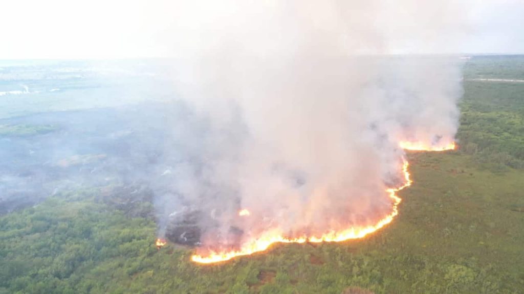 Incendio forestal en Punta Cana