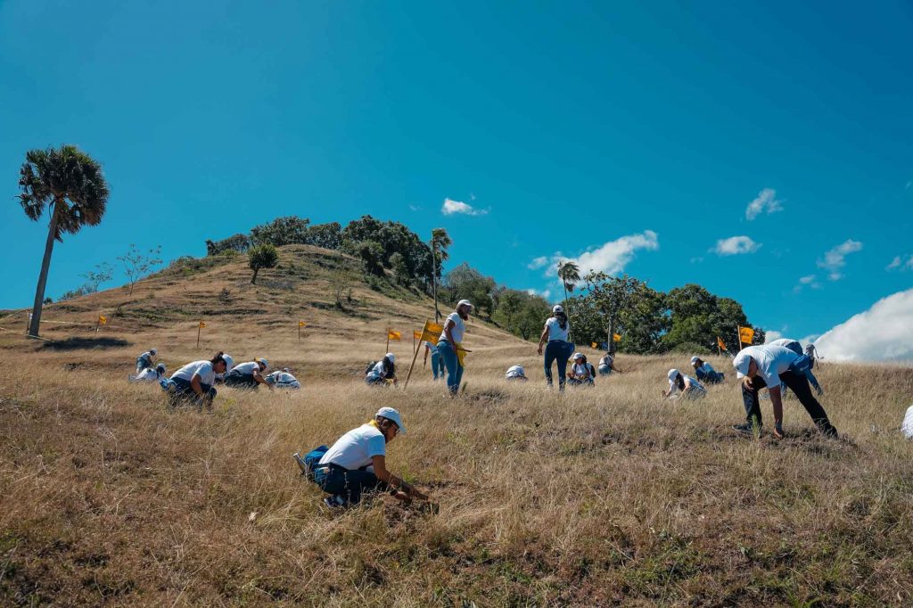 Empleados de Grupo Popular siembran 3,500 árboles en Plan Sierra Popular siembran 3500 arboles en Plan Sierra