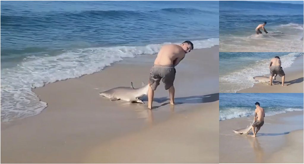 Pescador se faja de tu a tu con un tiburon