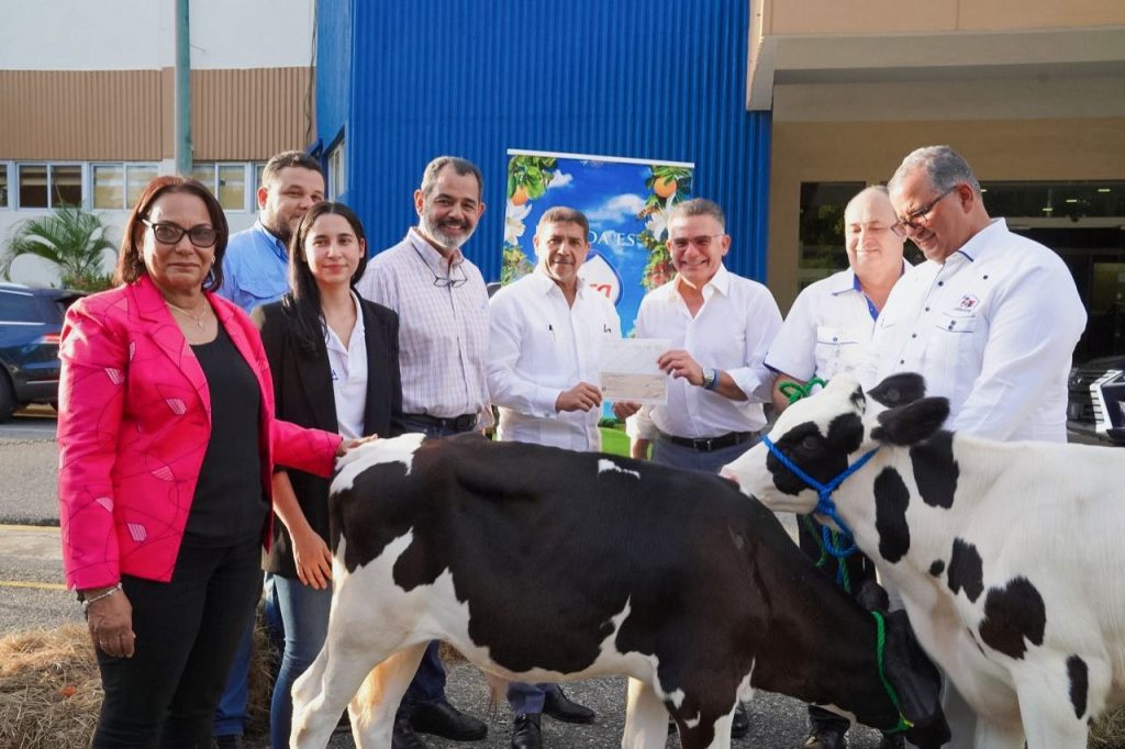 becerros donados por Grupo Rica para mejorar la genetica de la ganaderia lechera dominicana