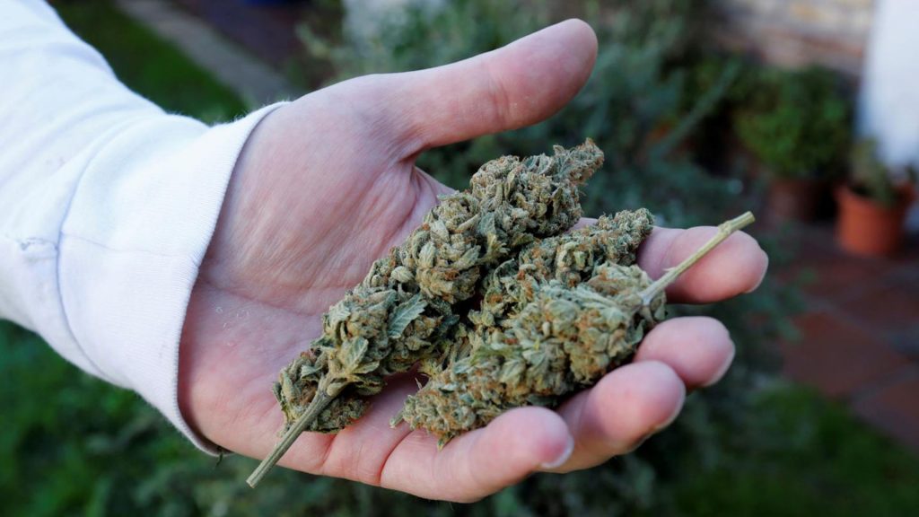 Marihuana
