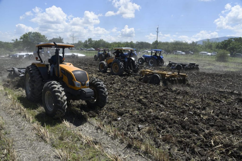 Agricultura prepara 220 mil tareas de tierra para siembra de habichuelas en region Suroeste