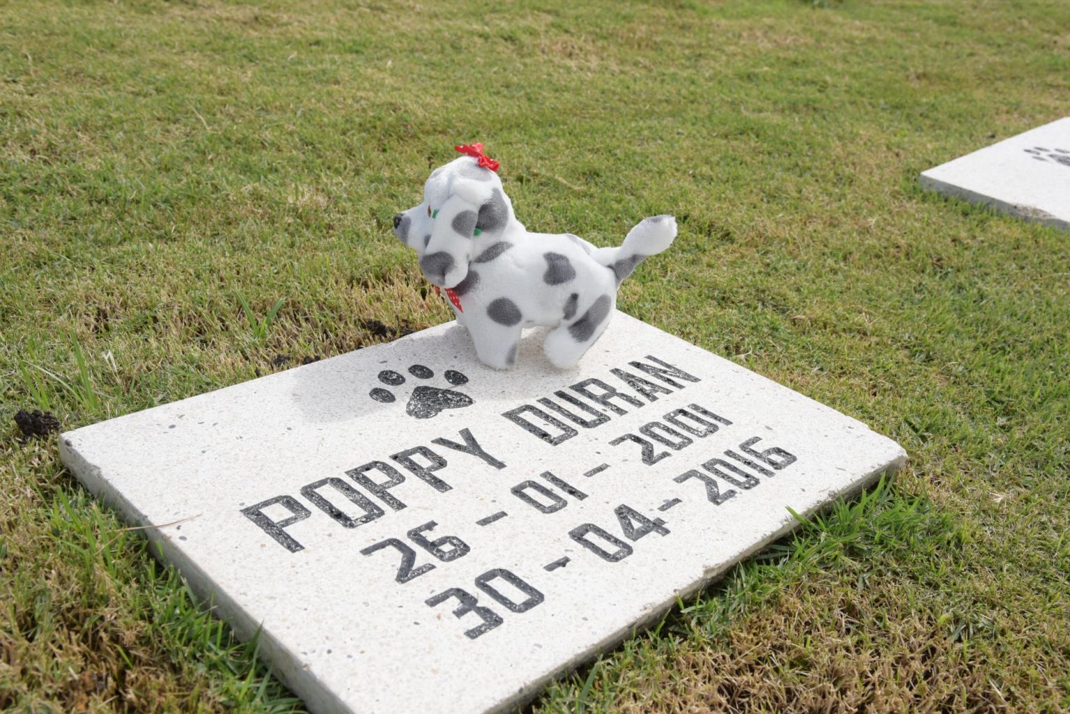 Cementerio de Mascotas