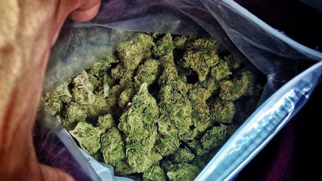 marihuana