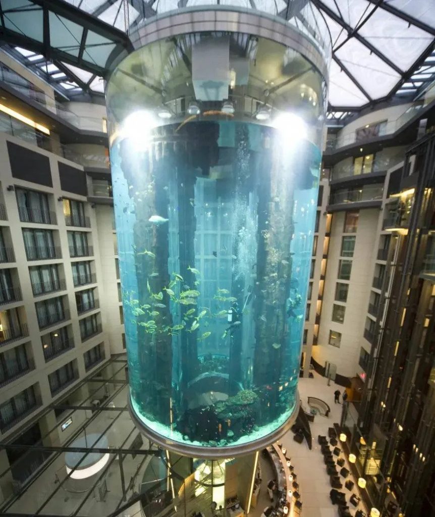 acuario cilindrico media 16 metros de altura y era el mas grande de su tipo