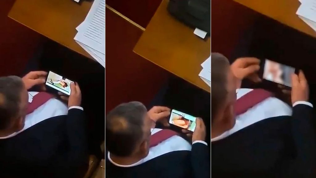 Zvonimir Stevic fue descubierto viendo porno durante una sesion parlamentaria dedicada a Kosovo el pasado 2 de febrero