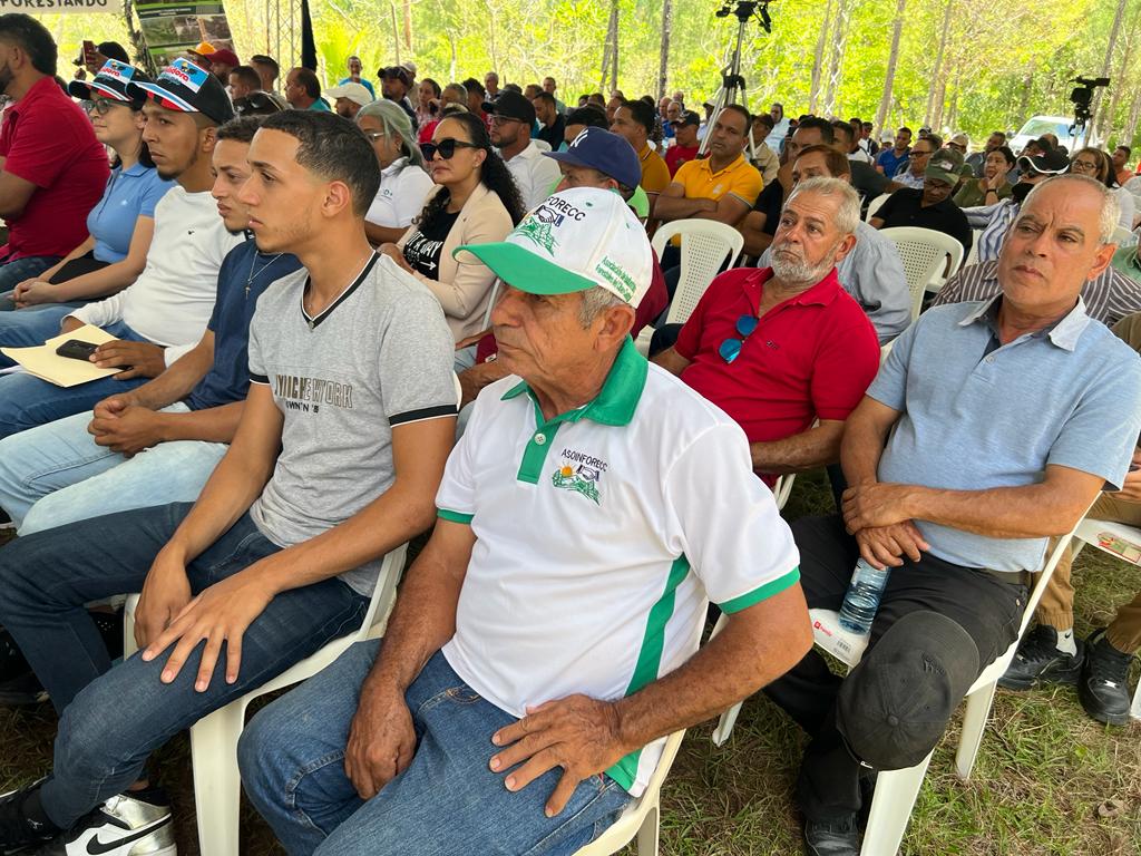Camara Forestal Dominicana resalta la importancia del sector forestal para el equilibrio de la vida de la tierra