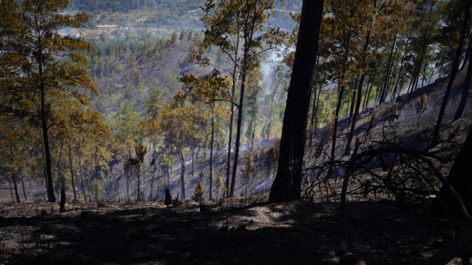 incendio de bosques y Vertederos el Republica dominicana