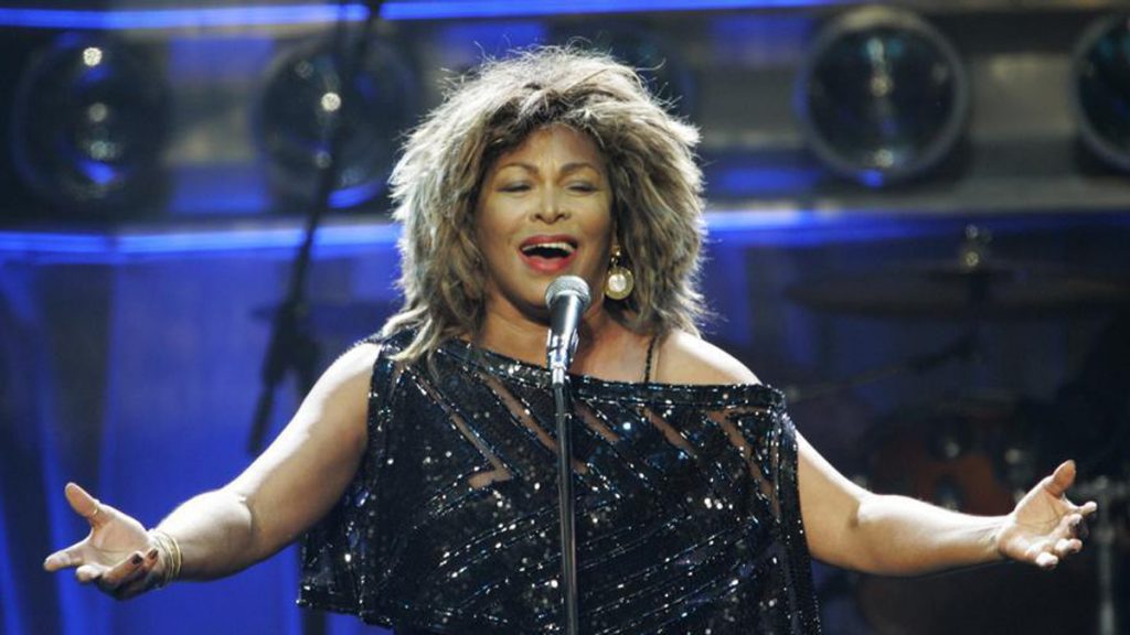 Tina Turner eljacaguero 1