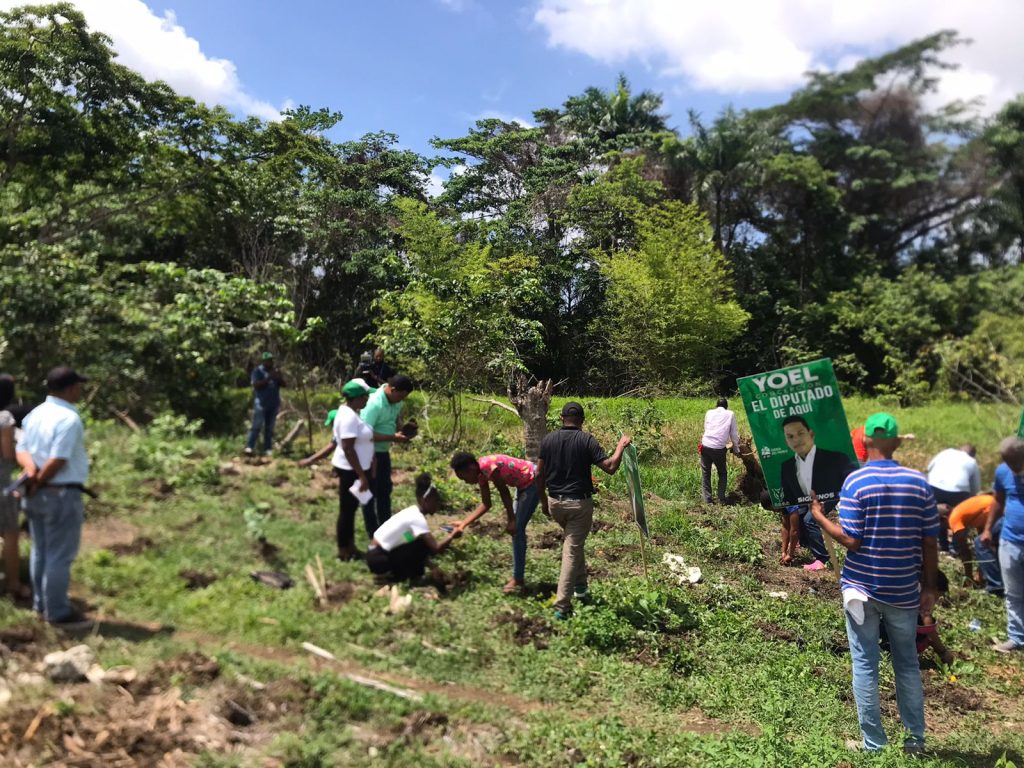 Yoel Concepción, realiza jornada de siembra de árboles Yoel Concepcion realiza jornada de siembra de arboles