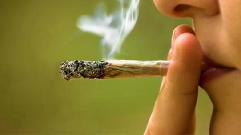 cigarillo de marihuana sufre dependencia de la droga