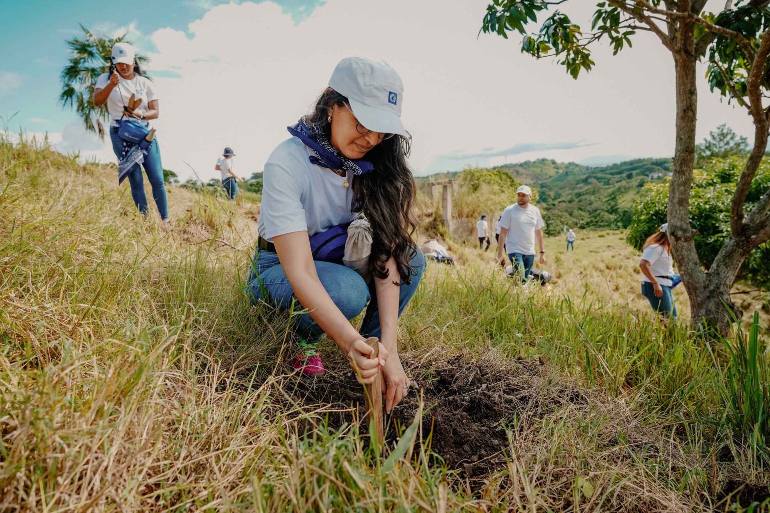 reforestacion en La Sierra