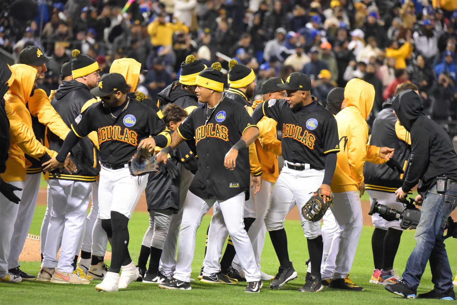 Aguilas blanquean Tigres en inicio serie Titanes del Caribe