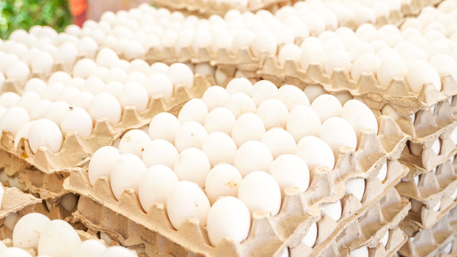 huevos a 100 pesos este jueves en 76 supermercados a nivel nacional