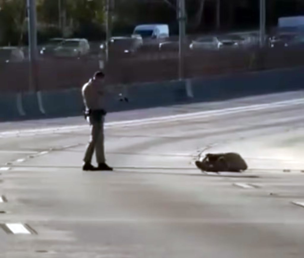 policia de Los Angeles mata afroamericano eljacaguero