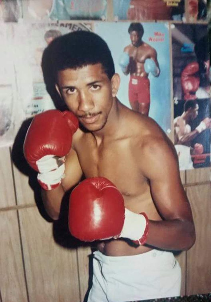 Avispa Cabrera eljacaguero