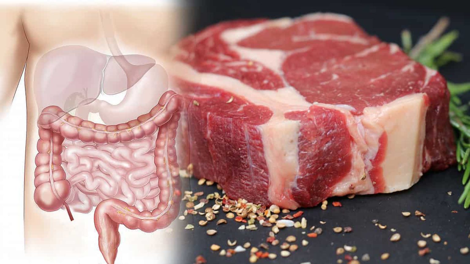 carne roja como factor de riesgo para el cancer colorrectal