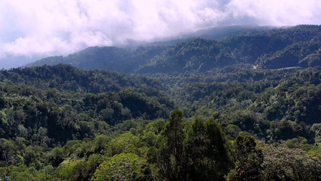 Reserva de Biosfera Madre de las Aguas eljacaguero