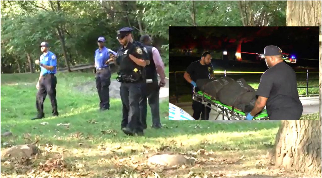 Policias del cuartel 33 recorren el parque Highbridge Park en el Alto Manhattan