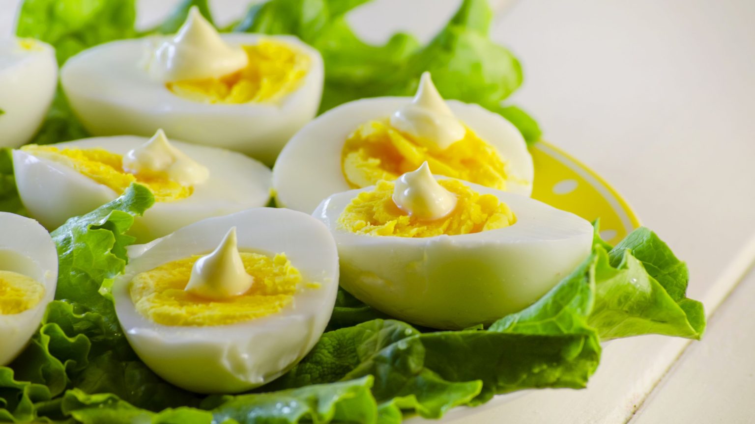 huevos para absorber sus proteinas