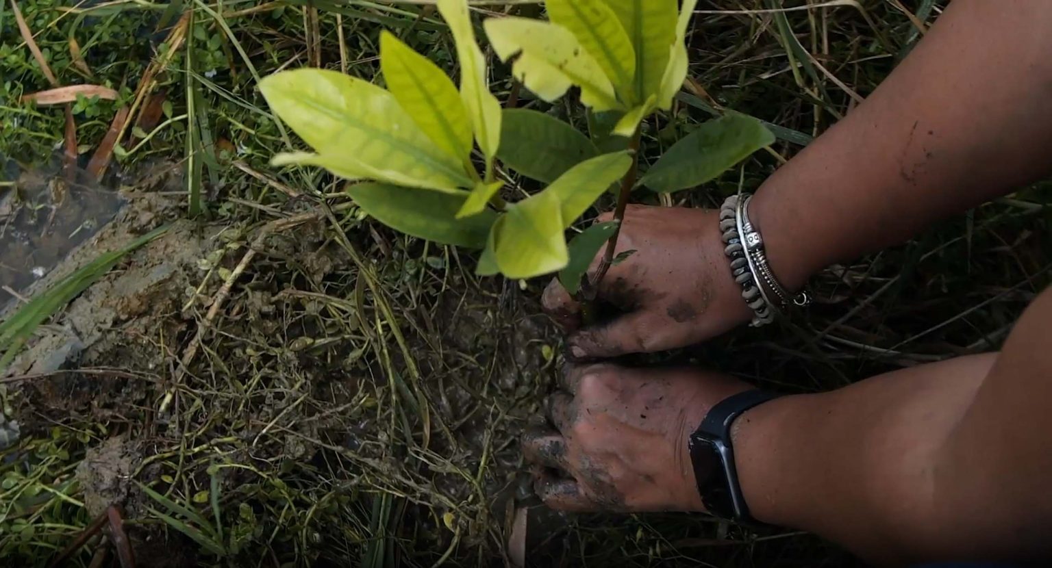 medio ambiente es una de las areas prioritarias